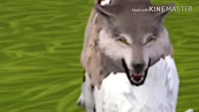 Creepypasta breeding season EP1- The Favor смотреть онлайн