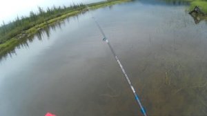 ЩУКА БРОСАЕТСЯ НА ВСЕ НА МЕЛКОВОДЬЕ!!! ЛОВЛЯ ЩУКИ НА СПИННИНГ НА ВОБЛЕРЫ, ВЕРТУШКИ! ДИКИЙ СЕВЕР...