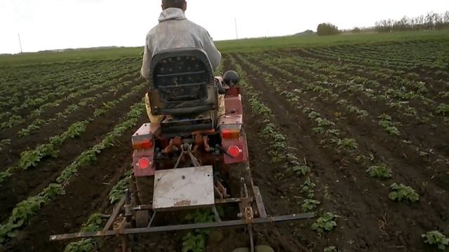 Минитрактор беларус смотреть онлайн