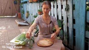 ЛЮБИМОЕ БЛЮДО КОРЕЙЦЕВ  В ИЮНЕ МАРИНОВАННЫЕ СТРЕЛКИ ЧЕСНОКА