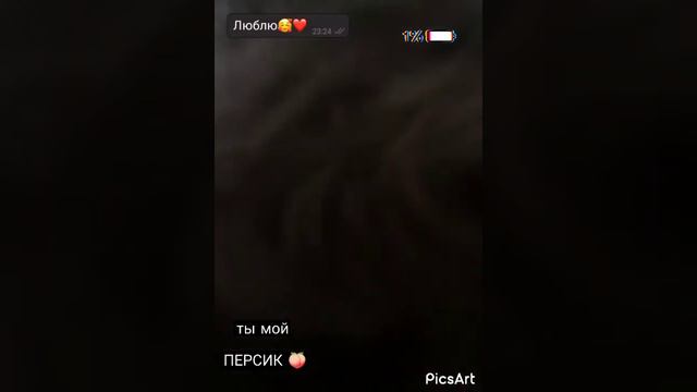 Просто видео 😋Англиский кокер спаниель