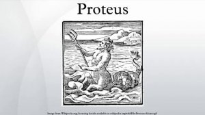 Proteus