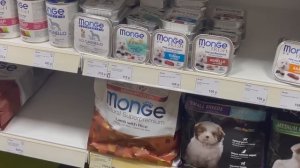 Поездка с собакой??/ Путешествие длиной в один день ?