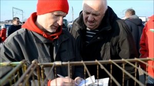 Конкурс голубей,Курский турман.