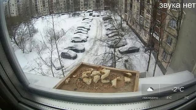 Кормушка для птиц