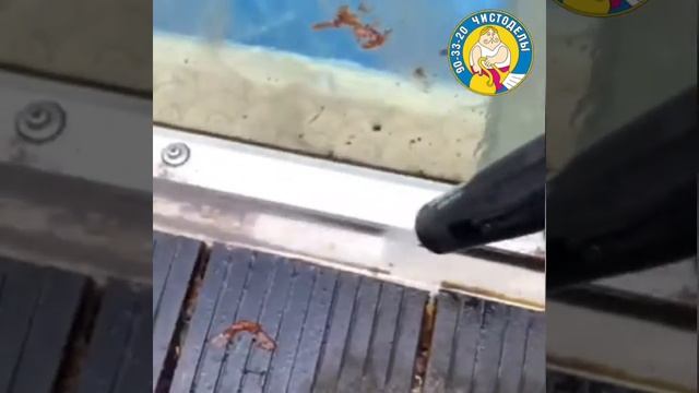 Мойка стеклянной крыши