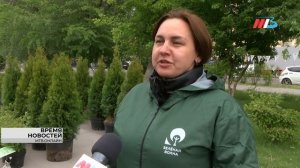 Волонтеры акции «Зеленая волна» высадили более 250 растений на севере Волгограда
