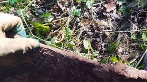 КОПАЮ ЖД МЕТАЛЛ. Коп металла.