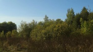 Грустная музыка из Тик Тока без слов для фона. Фоновая музыка для Стихов Цитат