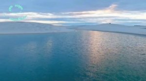 Волны в ночи