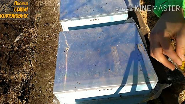 Замена донышков, контроль подмора, установка полосок от клеща смотреть онлайн