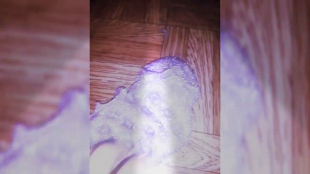 Я не знаю откуда этот слайм взялся шок😱😵 смотреть онлайн