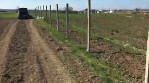 посадка малины весной в кубане #малина #светланасамойлова #малинапосадка посадка малины без шпалеры