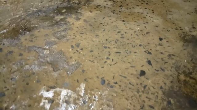 Пыльный бетонный пол полочки верстак планы