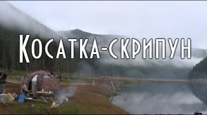 КОСАТКА СКРИПУН, рыба с ядовитыми шипами, обитатель бассейна Амура