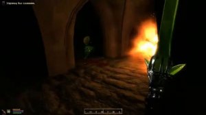 Oblivion Association 0.6.9 & Deadly Reflex 5 - Охота на ведьм