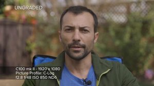 Canon C100 mk II: Wide DR vs C-Log