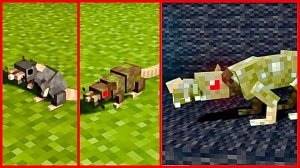 ЖИЗНЕННЫЙ ЦИКЛ КРЫСЫ В МАЙНКРАФТ Крысы майнкрафт Rats mod minecrft