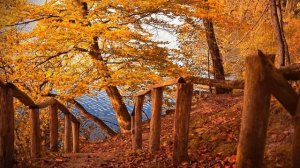 Музыка Осени! Сборник восхитительных осенних мелодий Эдгара Туниянц.