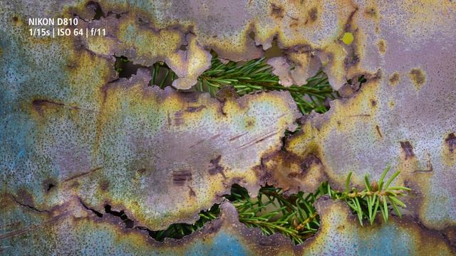 Фотопроект Очарование ржавчины. Советы по макрофотографии