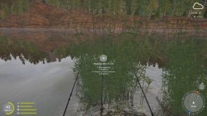 RF4! РР4! Русская Рыбалка 4! Озеро Куори - Палия и Налим!