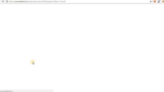Обзор ICO Bidium - обменная платформа для фрилансеров смотреть онлайн