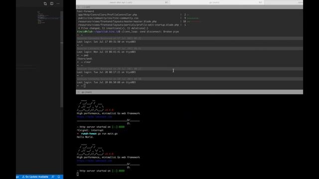 Url Params, Query Params dan json Responses | Part 2: Membuat WebServer Golang Menggunakan Echo
