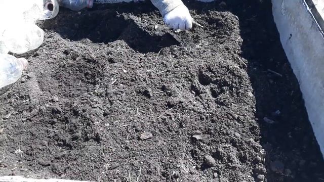 Огурцы без хлопот!!! смотреть онлайн