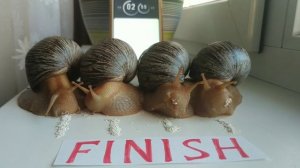 улитки жрут под жёсткий фонк