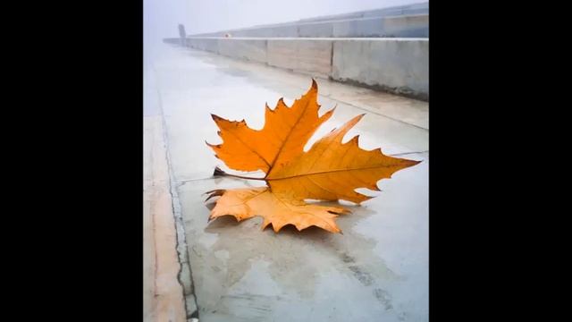 Одинокий лист смотреть онлайн