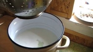 Сычужная закваска для сыра