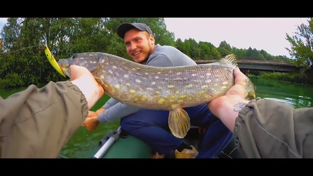 ?МОНСТРРРы Стодольского озера I Отличная РЫБАЛКА или как ловить ЩУКУ в июне. смотреть онлайн