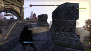 The Elder Scrolls Online: I'm  tired of siege weapons.