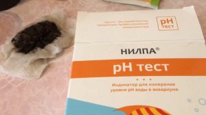 Проверяем РН лесной мох #определяем#РН#кислотность#грунта#