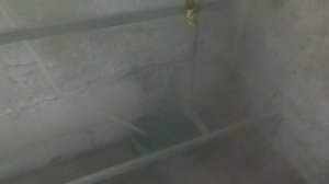 увлажнитель воздуха для грибницы