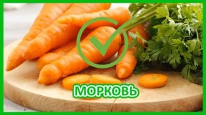 Питание при гастрите с повышенной кислотностью