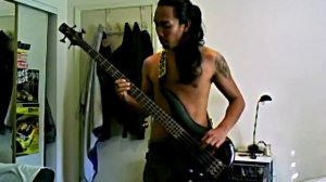 Lefty Bassist - Plush cover STP