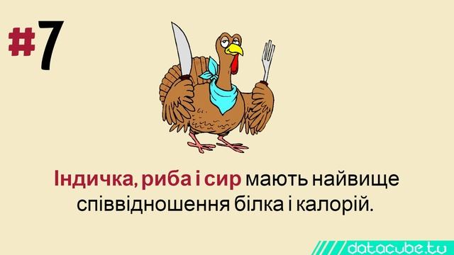 12 фактів про їжу: цікаві властивості та користь продуктів харчування