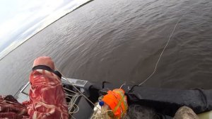 РЫБАЛКА СЕТЯМИ НА СЕВЕРЕ / ВЫЛОВ СИГА / FISHING WITH NETS /  Salmon fishing