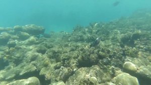 ВЛОГ Под Водой в Маске для Снорклинга