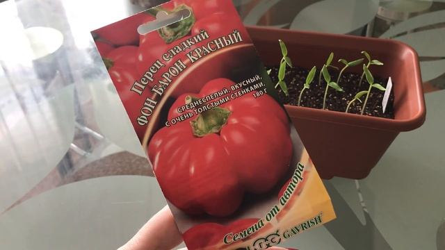Перец сладкий Фон Барон Красный рассада сезон 2020 смотреть онлайн
