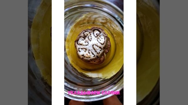 Баклажаны на каждый день#лучшиезакуски#блюдаизбаклажанов#??????