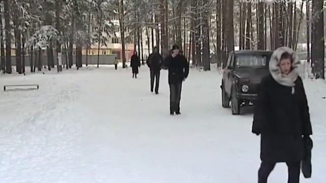 Вырубка в Томилинском лесопарке рядом с Октябрьским