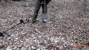 Металлоискатель Fisher F44 с DD катушкой. Поиск в лесу
