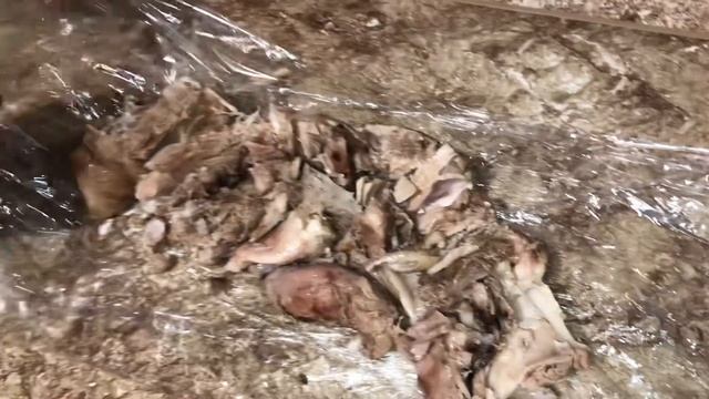 Готовим за копейки ?свиная рулька..