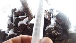 16 Часть . Промысел в тайге 2015! Сезон открыт. Ставим капканы на соболя.