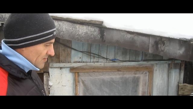 Советы начинающим по козоводству. Выбор породы коз.Содержание и нюансы.Случка коз.