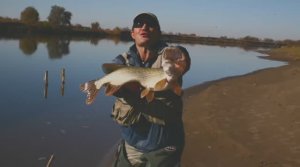 Ахтуба Продолжение
Рыбалка с катушкой Нельма