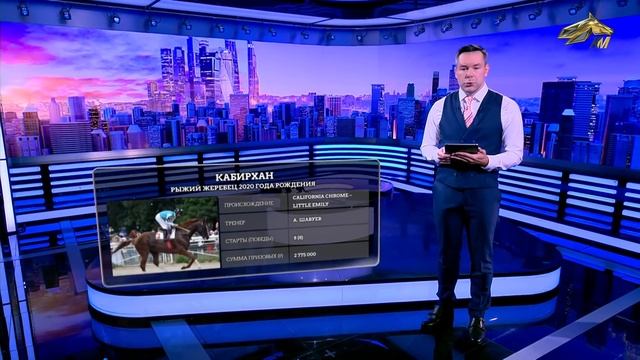 ОБРАТНЫЙ ОТСЧЁТ. 31 августа 2023 года. 12:00