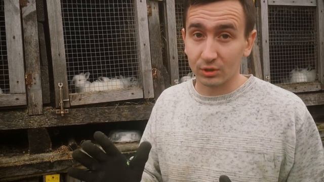 Когда КРОЛИКИ ОТКРЫВАЮ глаза | Дневник Кроликовода №60 ? | Арболитич